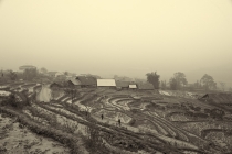 Хэллоу БаБай или Декабрьский Вьетнам (2011), Фото Траффик