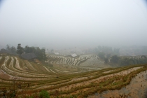 Хэллоу БаБай или Декабрьский Вьетнам (2011), Фото Траффик