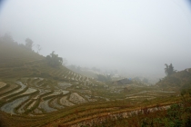 Хэллоу БаБай или Декабрьский Вьетнам (2011), Фото Траффик