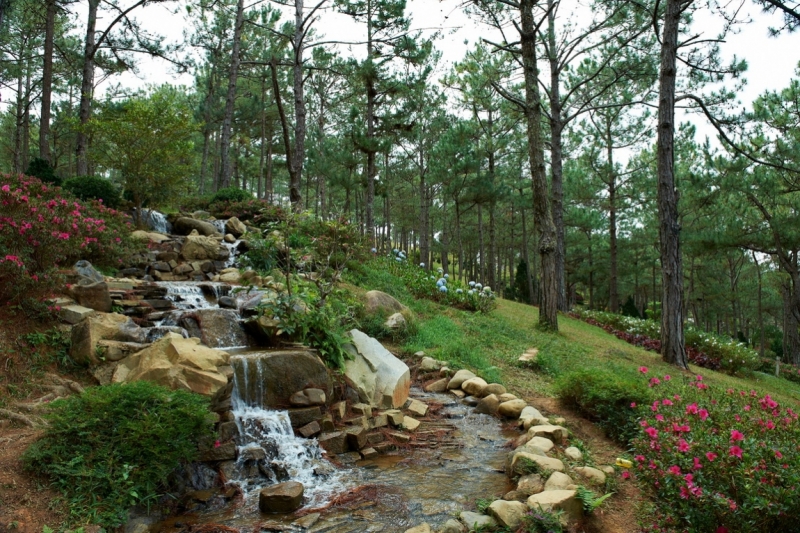 Хэллоу БаБай или Декабрьский Вьетнам (2011), Фото Траффик