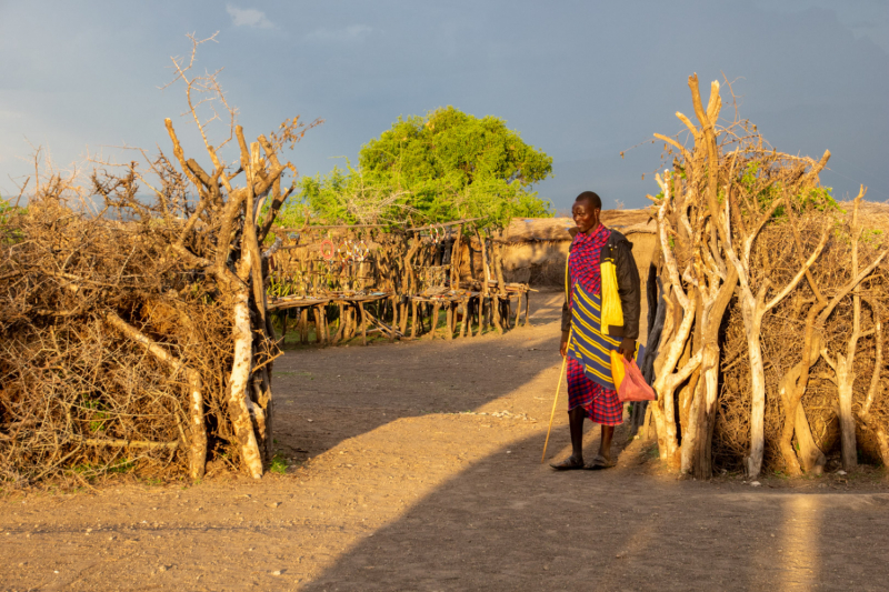 Танзания. Занзибар и Сафари. Фото, видео и впечатления