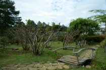 Хэллоу БаБай или Декабрьский Вьетнам (2011), Фото Траффик