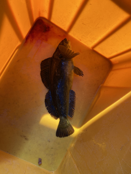 Осенняя Камчатка и заснеженный Горелый, 20-26.09.21