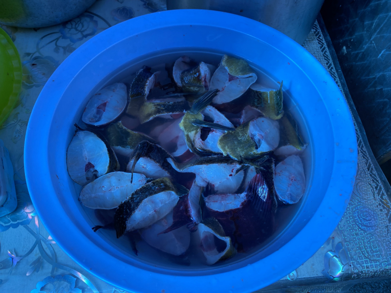 Осенняя Камчатка и заснеженный Горелый, 20-26.09.21