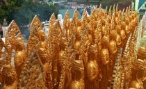 Хэллоу БаБай или Декабрьский Вьетнам (2011), Фото Траффик