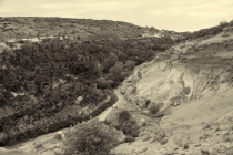 Хэллоу БаБай или Декабрьский Вьетнам (2011), Фото Траффик