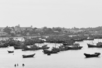 Хэллоу БаБай или Декабрьский Вьетнам (2011), Фото Траффик