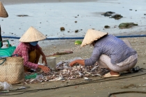 Хэллоу БаБай или Декабрьский Вьетнам (2011), Фото Траффик