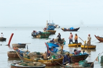 Хэллоу БаБай или Декабрьский Вьетнам (2011), Фото Траффик