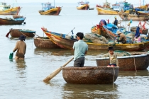 Хэллоу БаБай или Декабрьский Вьетнам (2011), Фото Траффик