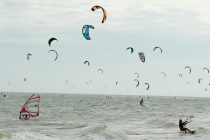 Хэллоу БаБай или Декабрьский Вьетнам (2011), Фото Траффик