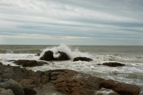 Хэллоу БаБай или Декабрьский Вьетнам (2011), Фото Траффик