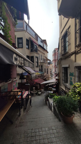 Стамбул, Каппадокия, Ликийка и тюлени в октябре 2021