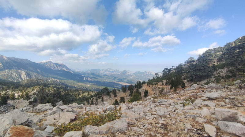 Стамбул, Каппадокия, Ликийка и тюлени в октябре 2021