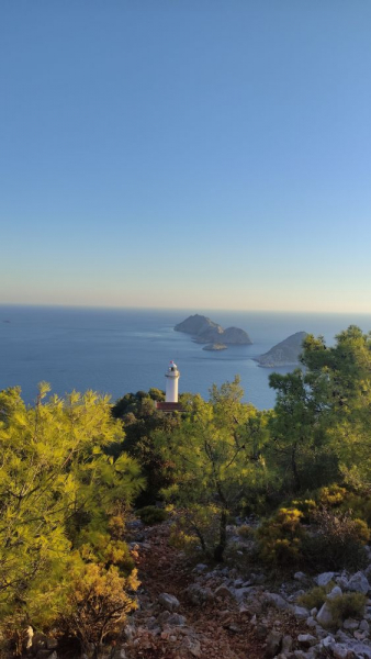 Стамбул, Каппадокия, Ликийка и тюлени в октябре 2021