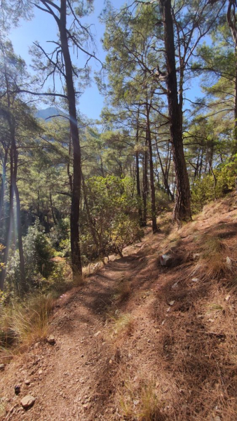 Стамбул, Каппадокия, Ликийка и тюлени в октябре 2021