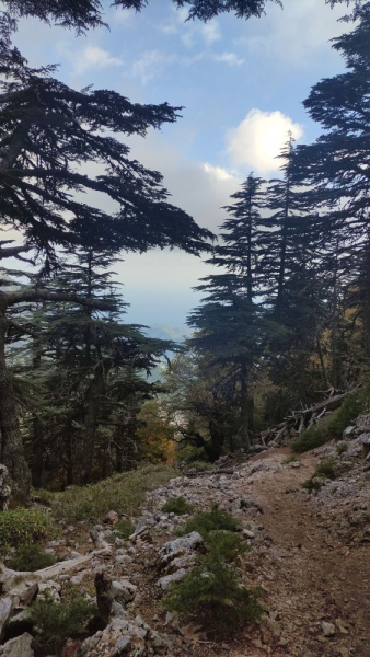 Стамбул, Каппадокия, Ликийка и тюлени в октябре 2021