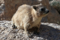 Мертвое море