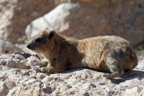 Мертвое море