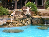 Тай 2008 отель Панвимен