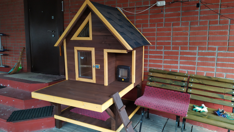 Кошки в нашей жизни. Кошки и все, что с ними связано.