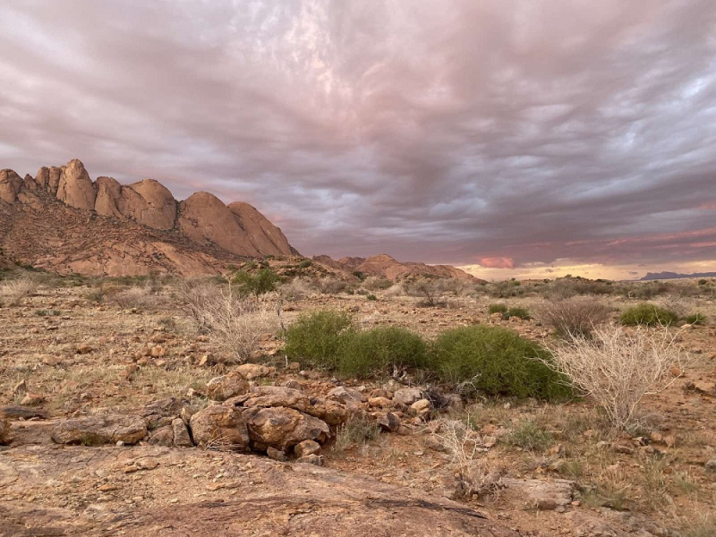 Enjoy Namibia или Намибия в ковидные времена (март 2021 г.)