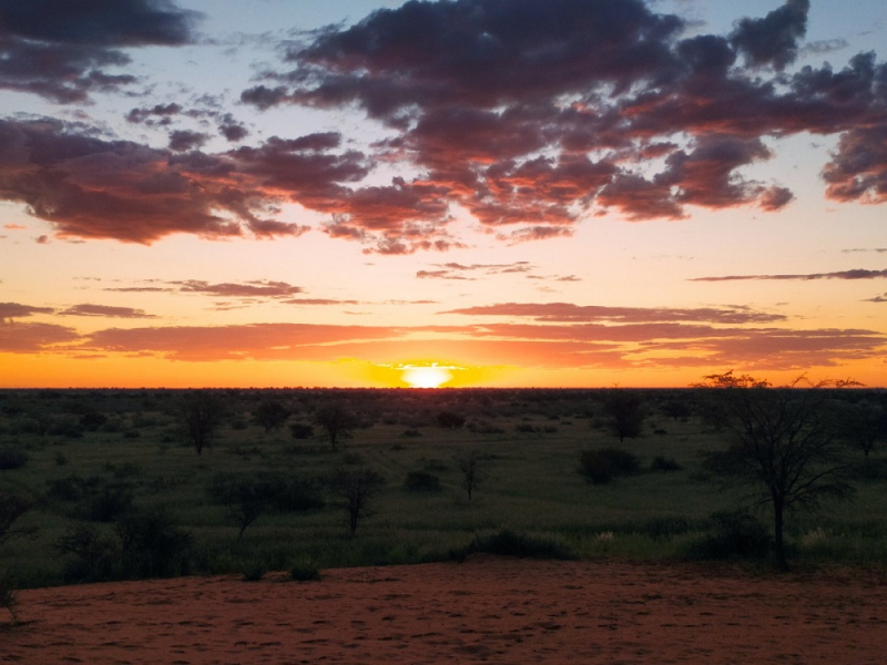 Enjoy Namibia или Намибия в ковидные времена (март 2021 г.)