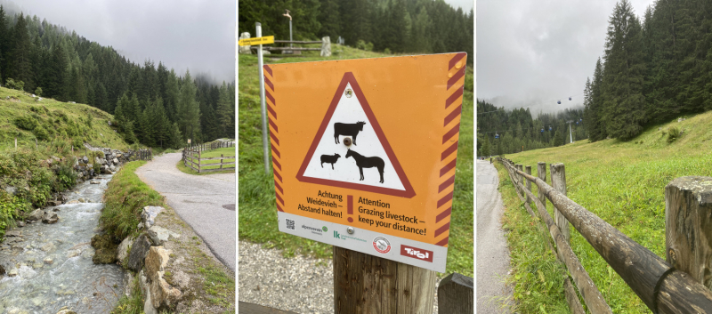 Август-сентябрь 2021. Из Оренбургской через Эстонию в Италию и обратно на своей машине.