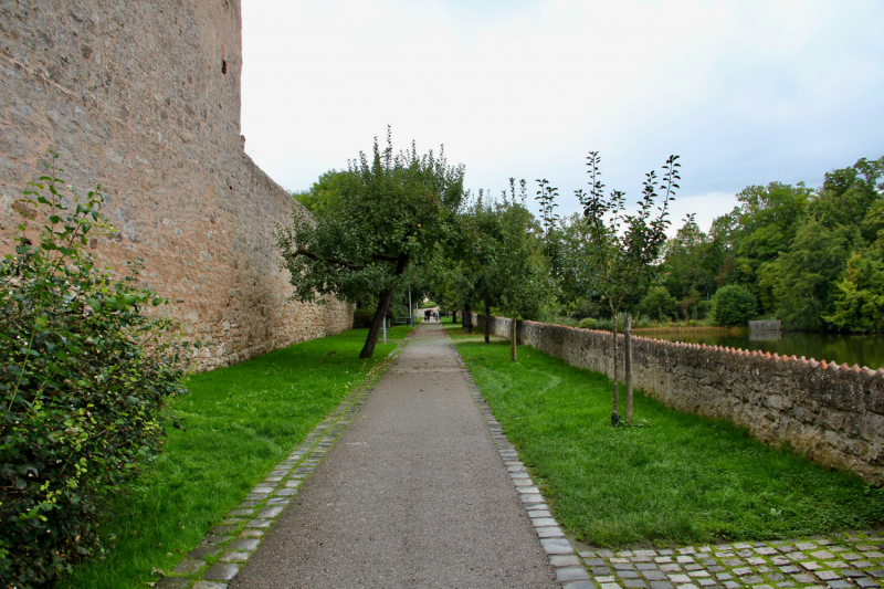 Осенний марафон 2021 г.