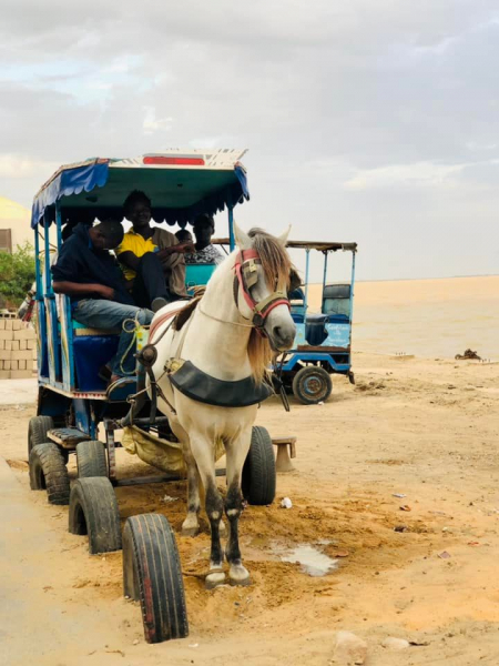Страны, куда мне никогда не хотелось:  Мавритания и Сенегал, ноябрь 2021 (дневник путешествия)