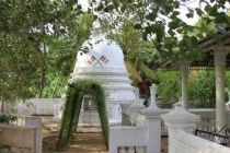 Благословлённая Земля (Шри-Ланка, октябрь 2011)