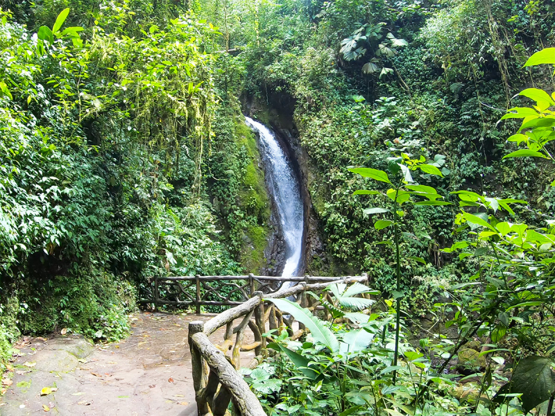 Коста-Рика март-апрель 2021. Национальные парки, пешеходные маршруты, пляжи