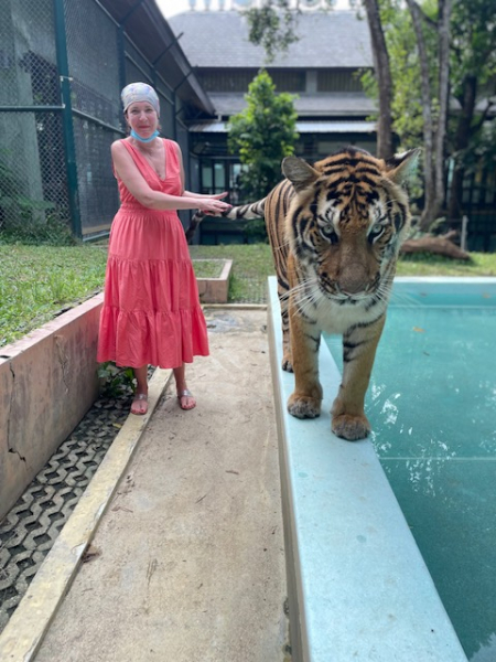 Кошки в нашей жизни. Кошки и все, что с ними связано.