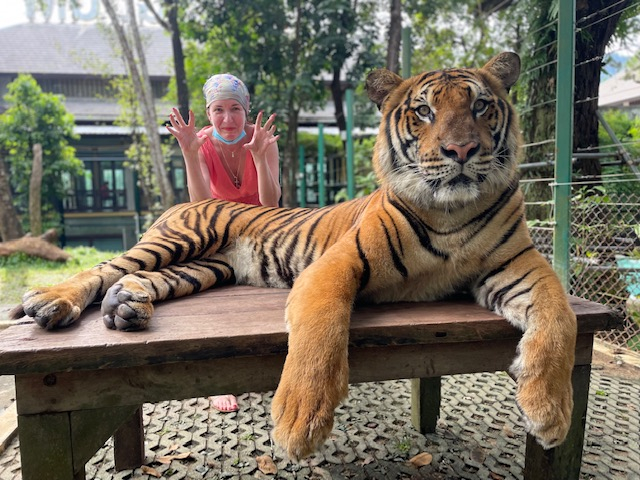 Кошки в нашей жизни. Кошки и все, что с ними связано.
