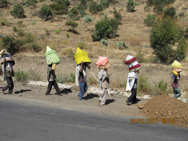 Эфиопия, Север 2011: информация без особых эмоций
