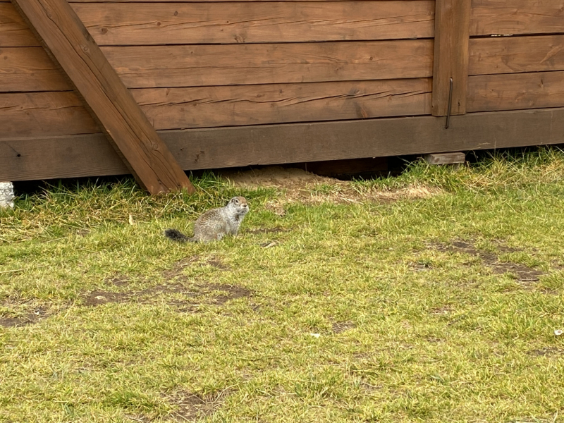 Осенняя Камчатка и заснеженный Горелый, 20-26.09.21