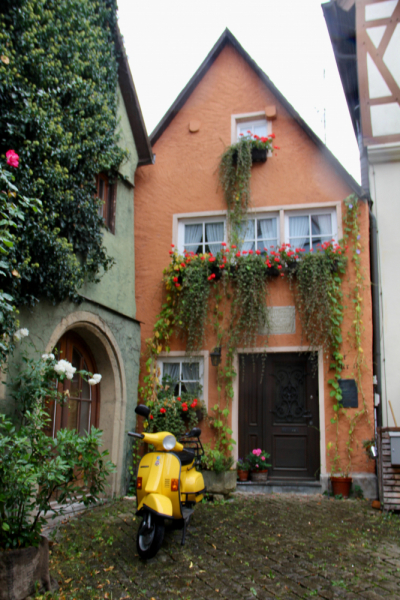 Осенний марафон 2021 г.