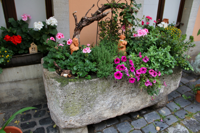 Осенний марафон 2021 г.