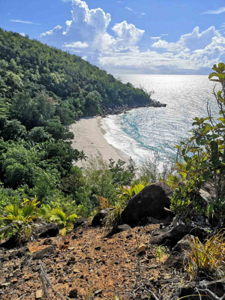 Треки, черепашки, пляжи - Сейшелы, декабрь 2021
