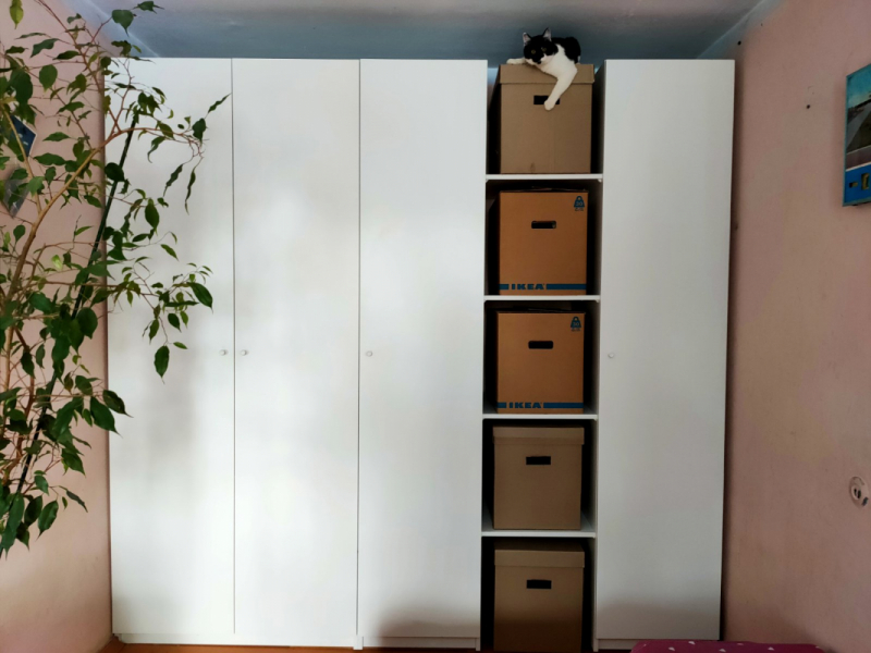 Кошки в нашей жизни. Кошки и все, что с ними связано.