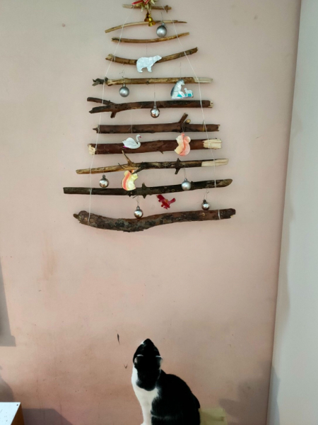 Кошки в нашей жизни. Кошки и все, что с ними связано.