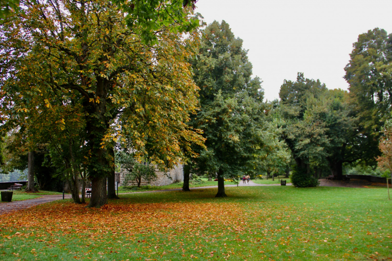 Осенний марафон 2021 г.