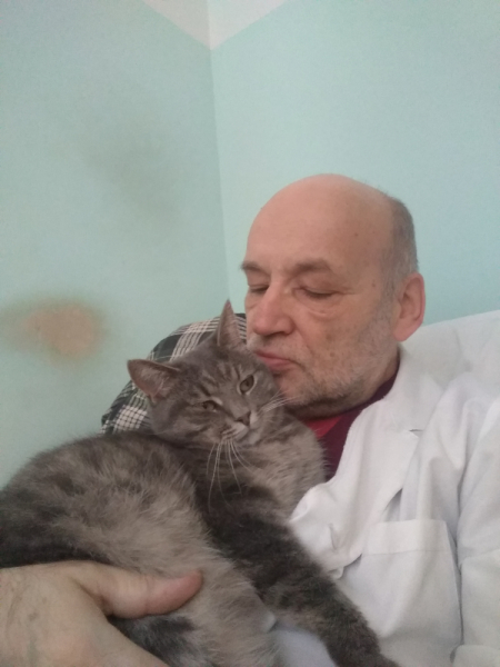 Кошки в нашей жизни. Кошки и все, что с ними связано.