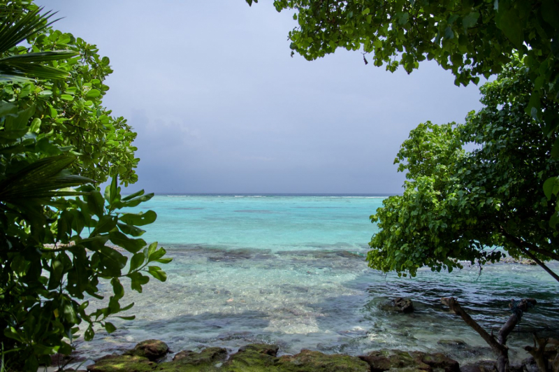Мальдивы, ноябрь + дайвинг (Анапа в океане) фото