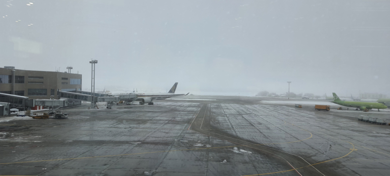 Тодду - Декабрь 2021