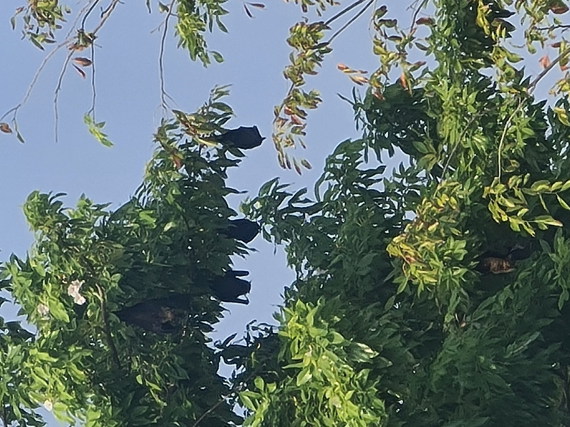 Тодду - Декабрь 2021