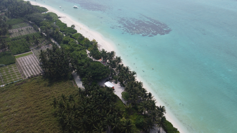 Тодду - Декабрь 2021