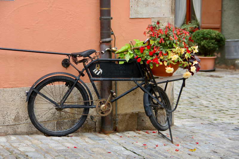 Осенний марафон 2021 г.