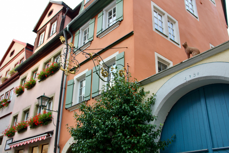 Осенний марафон 2021 г.