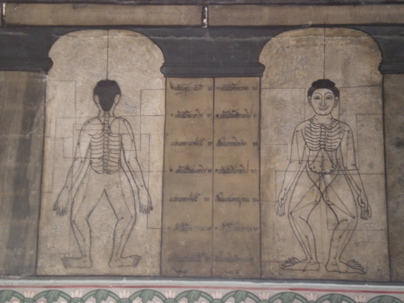 Паттайя, Бангкок_февраль 2011. Первый раз в одиночку. Описание, впечатления, фото, цены